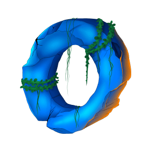 O.png
