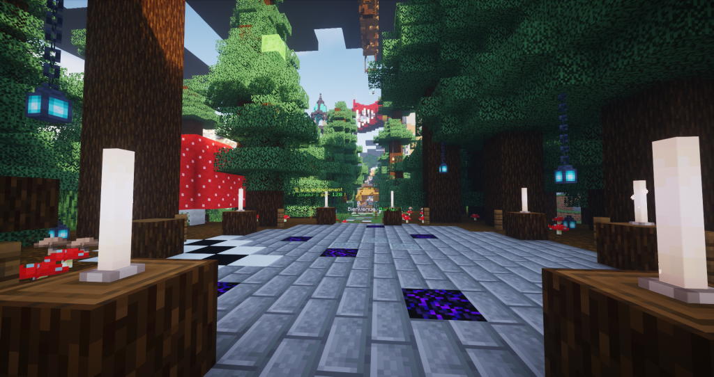 Age Of Craft – Serveur Minecraft